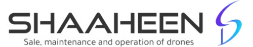 Drone Show Logo